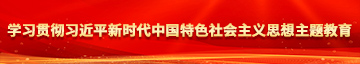 美女波波大鸡巴大视频学习贯彻习近平新时代中国特色社会主义思想主题教育